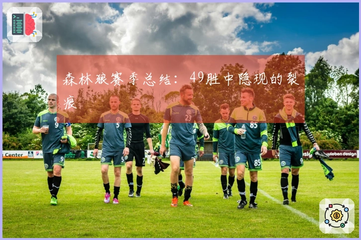 森林狼赛季总结：49胜中隐现的裂痕