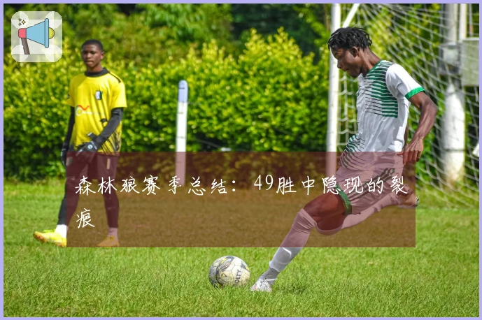 森林狼赛季总结：49胜中隐现的裂痕