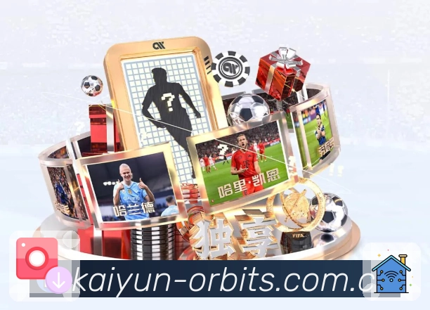 <strong>开云</strong>互动社区与运营团队